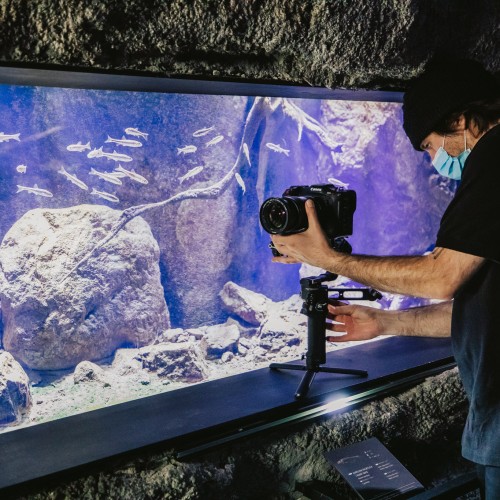 179892527_1863742710448151_6364118544746296742_n