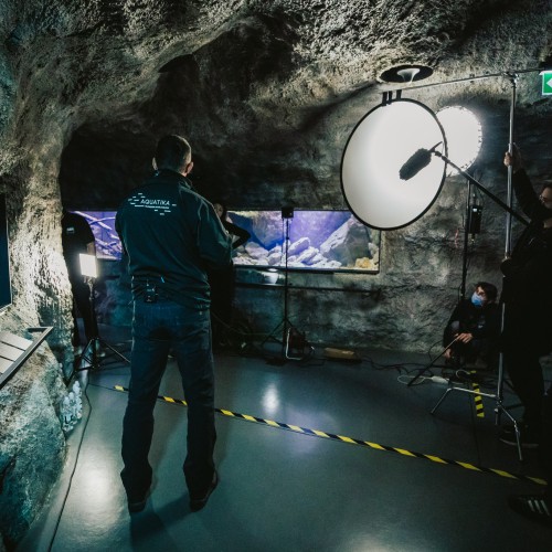 179947567_1863742803781475_5690802703845236797_n