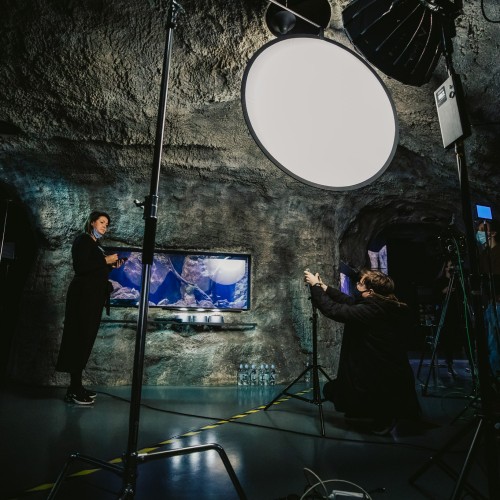 179956342_1863913080431114_811962402000624153_n