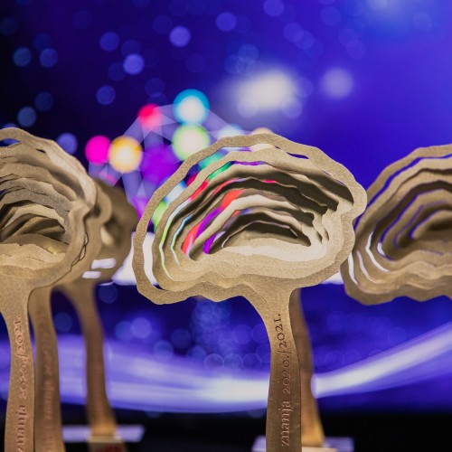 242614090_1979085692247185_959363476652445768_n