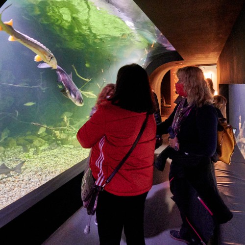 247587641_2003287686493652_5634236342021459094_n