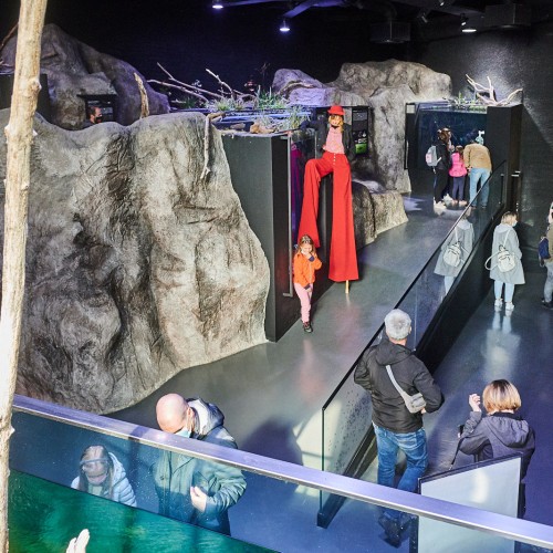 247947893_2003288193160268_912799132647792685_n