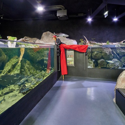 248052830_2003287936493627_1189141061336037164_n