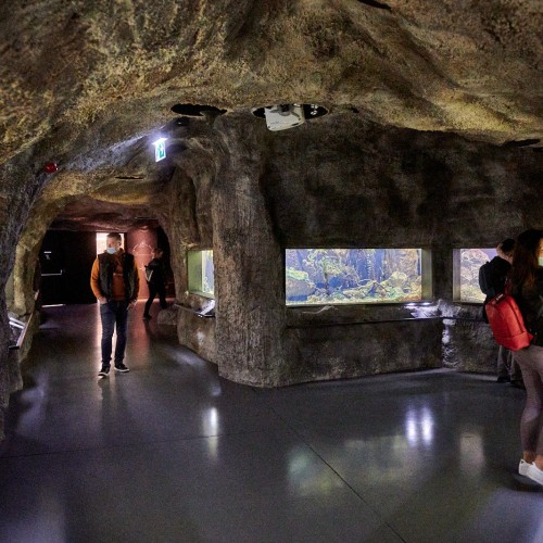 248345481_2003287983160289_7155395483330569184_n