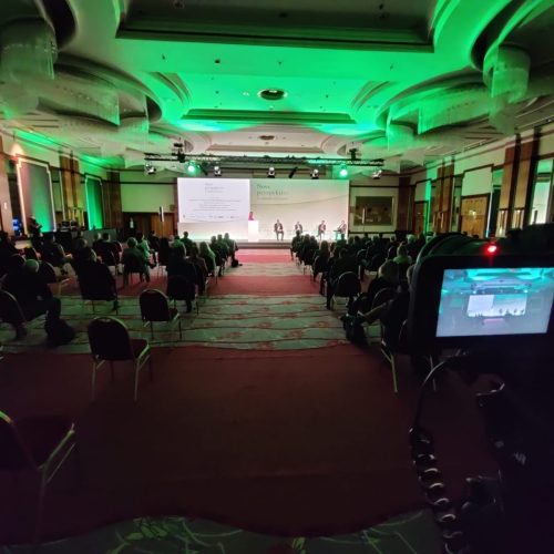 WhatsApp Image 2021-12-12 at 9.29.43 PM